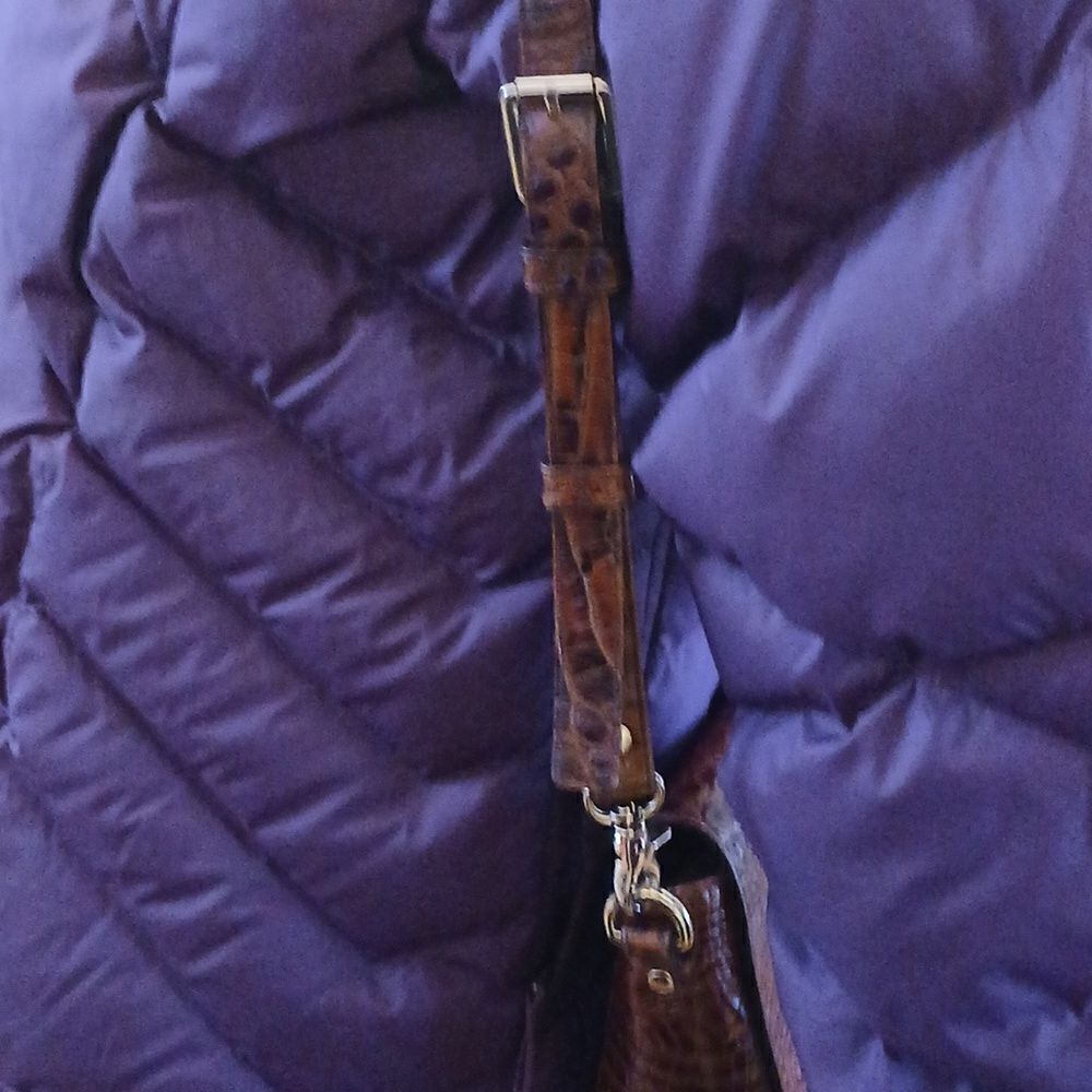 Brahmin   - Picture 5 of 9